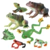 Simulation Amphibian Animals Model Frog Life Cycle Stages Action Figures Toys Gifts Mainan Katak pembelajaran