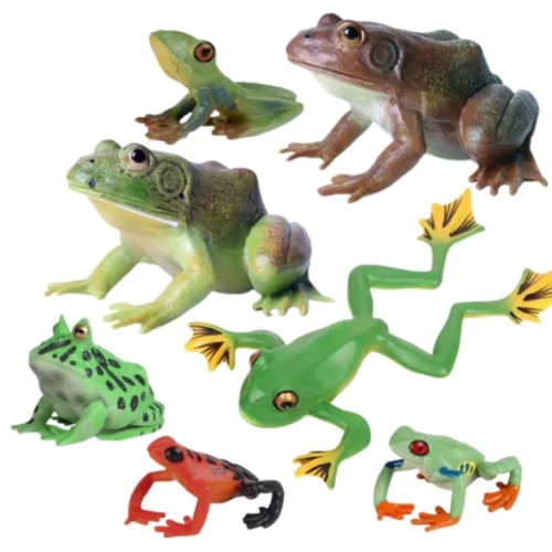 Simulation Amphibian Animals Model Frog Life Cycle Stages Action Figures Toys Gifts Mainan Katak pembelajaran